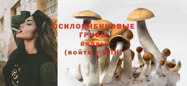 PSILOCYBIN Армянск